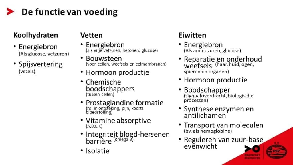 De functie van macronutriënten in onze voeding