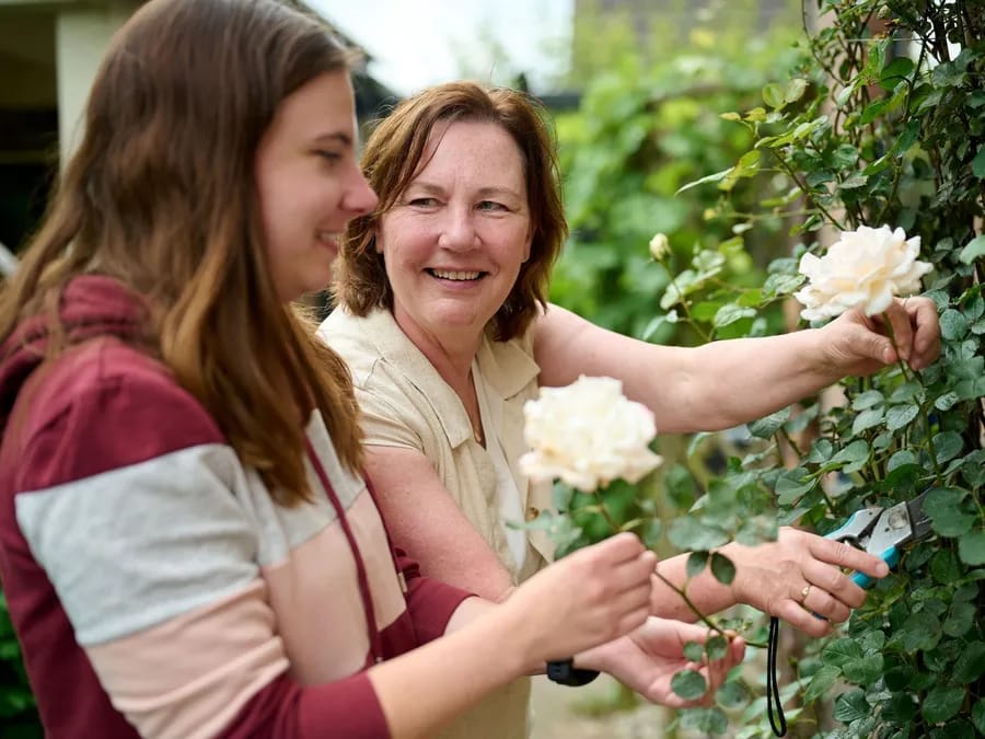Leefstijlpijler verbinding stichting Je Leefstijl Als Medicijn