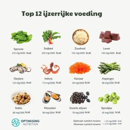 12 bronnen van ijzer stichting Je Leefstijl Als Medicijn