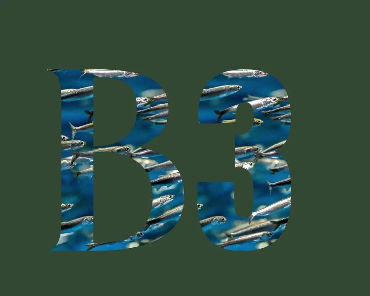 Vitamine B3