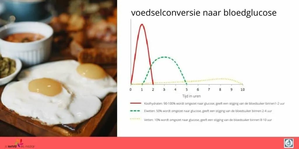 Inline image from Het effect van eiwitten op je bloedsuiker