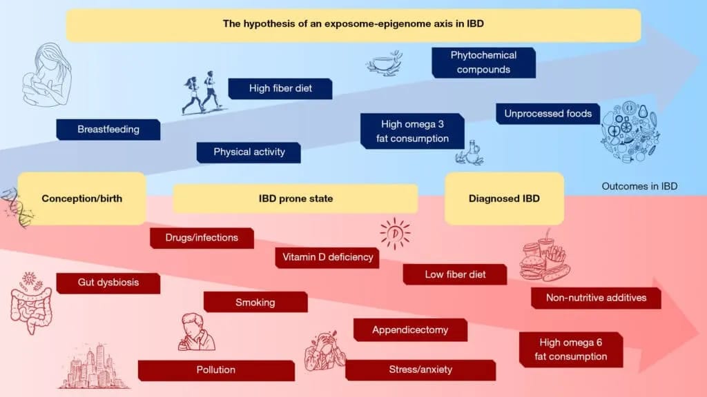 the hypothesis of an exposome epigenome axis in ibd