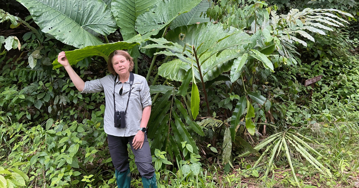 diabetes in het oerwoud